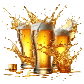 beer-album